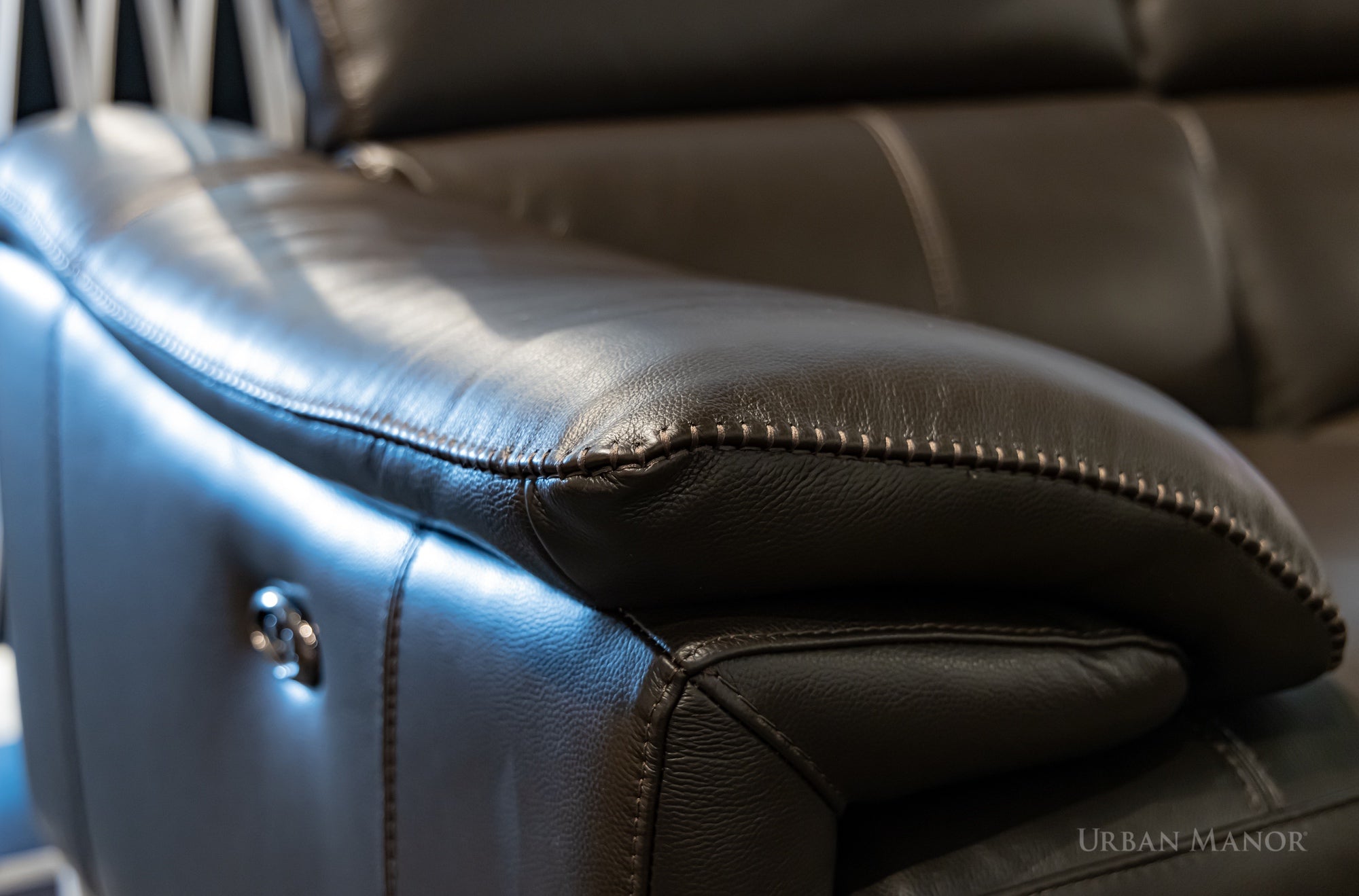 Walter Power Leather Loveseat