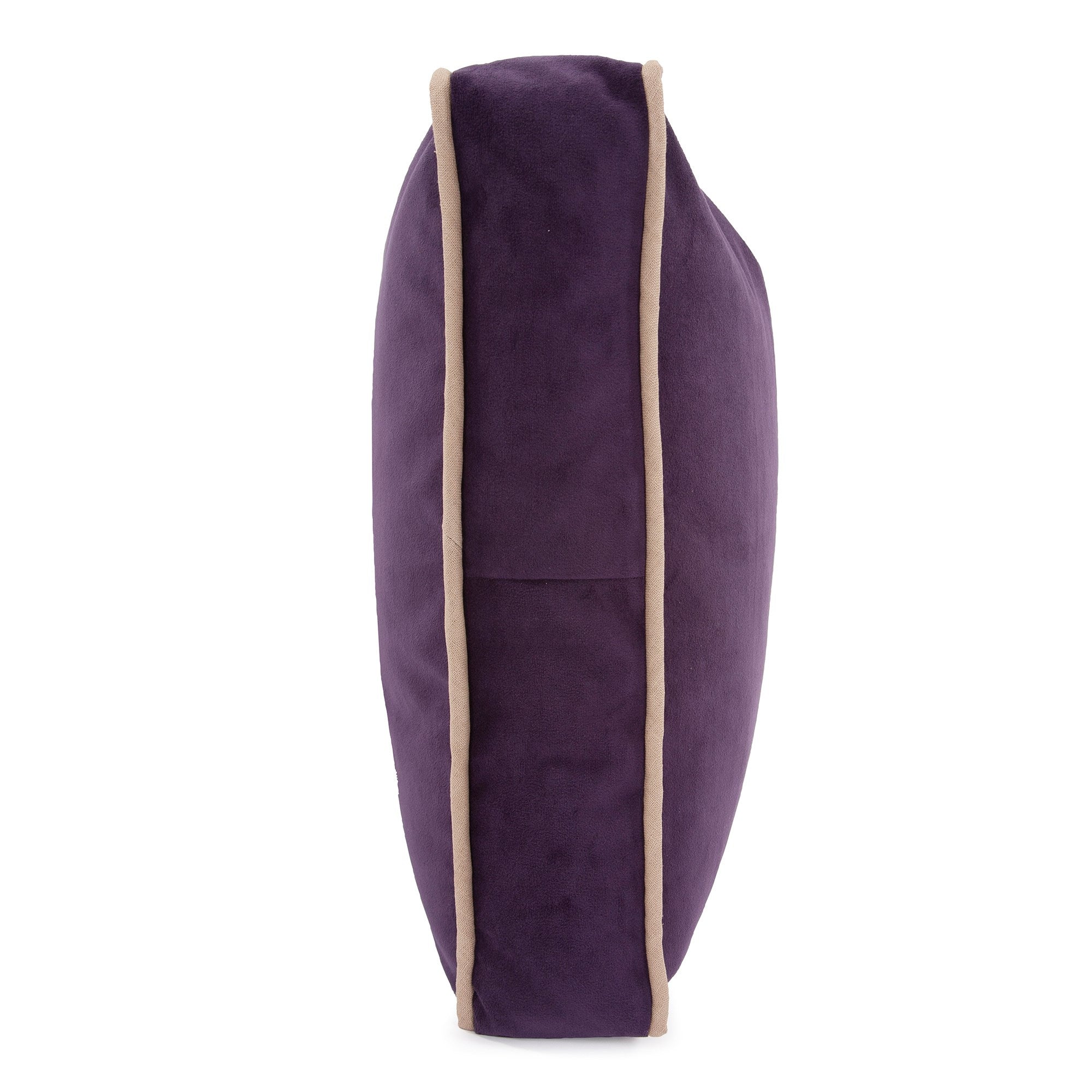 Gusseted Bella Eggplant Down Pillow- 20" x 20"